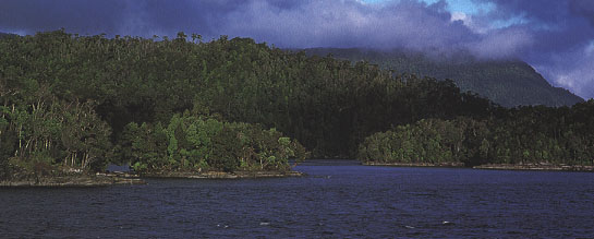 quitralkofyord.JPG (31936 bytes)